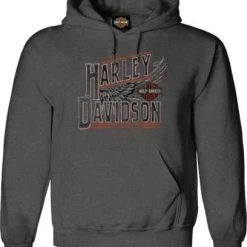 H-D Motorclothes Harley-Davidson Hoodie Take Flight Grau